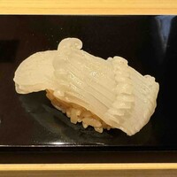 鮨わたなべ 札幌店 - アオリイカ