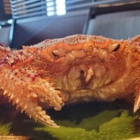 日比谷 蟹みつ - 