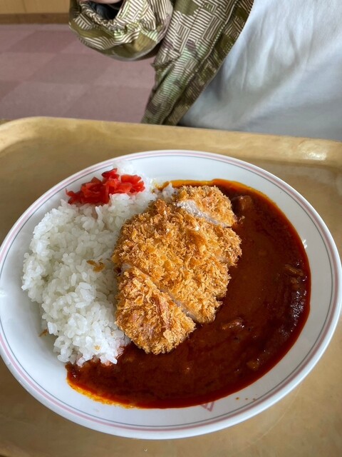 七ヶ岳登山口 カフェ「センターハウスカフェテリア」- 自然と食事が楽しめる休憩スポット