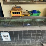 八べえ - 生け簀