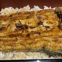 八べえ - 太物青うなぎ頭側アップ