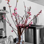 江戸そば マルノ - 桃の花