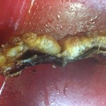 鰻家 うりずん。 - 