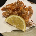 二代目串信玄  - 