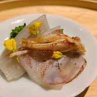 温石 - ⑤炭火炙り陣胴烏賊(静岡県駿河湾産、サスエ前田魚店)、菜の花添え
                    炭火炙りでポタポタと下足から水分&脂が滴り、絶妙な味わい
                    障泥烏賊の新子の様な軟らかさで大人の滋み
                    恐ろしいポテンシャルです