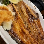 居酒屋 キッチン きぬ - 