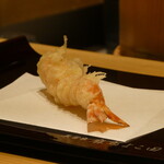 天冨良 麻布よこ田 - 車海老