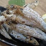 Tongorou sardines
