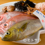 Tsukiji bon marushe - 老舗業者や産地直送で旬の魚介を日々買い付け