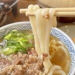 どんどん - 肉うどんアップ