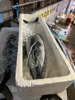 氷見 魚市場食堂 - 氷見ぶり