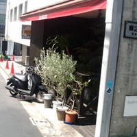 オッジ ダルマット 西麻布店 - 