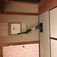 菊乃井 本店 - 