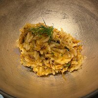 OLMO - 