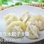 handmade soup Gyoza / Dumpling