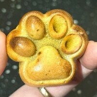 恵比寿ビストロ 猫も杓子も - マドレーヌサレ