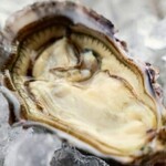 Shodoshima Tenryo Oyster (raw Oyster /grilled Oyster /steamed Oyster) 1 each