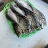 まるいひもの店 - 鯵の干物　600円