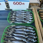 まるいひもの店 - 