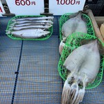 まるいひもの店 - 