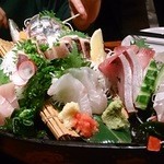 どまん中 - 刺身ちゃん達