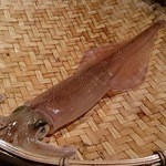 どまん中 - 活やりいか（調理前）