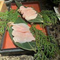 Shangri-La's secret ROPPONGI - 