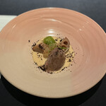 セルサルサーレ - 