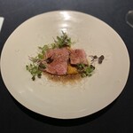 セルサルサーレ - 