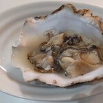 角上魚類 相模原店 - 