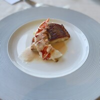 サンシャイン クルーズ・クルーズ - 