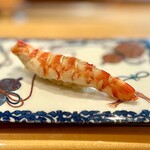 一心鮨 光洋 - ⑪車海老（宮崎）