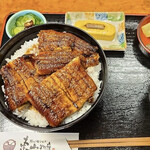 Sumibiyaki Unagi Higashiyama Bussan - 