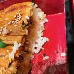 すが井 - 箱メシ断面+.(≧∀≦)ﾟ+.ﾟ