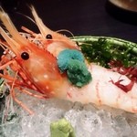 三海の華 - 大ボタン海老！