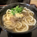 はやし - 肉うどん(中)