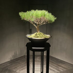 #肉といえば松田 - 