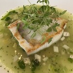 ラチュレ - ウスバハギ