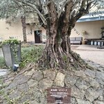 小笠原伯爵邸 - 