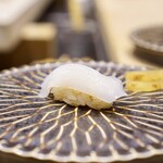 236749285 - 剣先烏賊