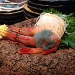 マッシュアップ - お刺身その1。