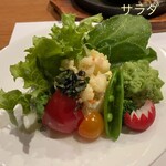 あじ澤 - サラダの盛り付けが綺麗食欲をそそります。