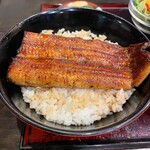 Unagi Hashimoto - 