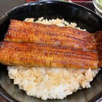 Unagi Hashimoto - 