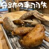 奇跡の手羽先 天三店