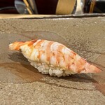 鮨　まつ本 - 車海老【握り】