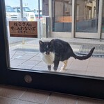 相島地域産物展示販売所 丸山食堂 - 