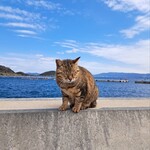 相島地域産物展示販売所 丸山食堂 - 