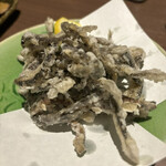 Sake & Dining Aioi - 