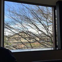 キメラ - 青い空と冬枝のシルエットがまるで絵画のように窓の外に広がります。